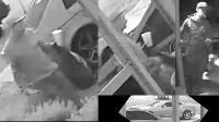 suspect photo