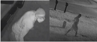 Car burglary suspects