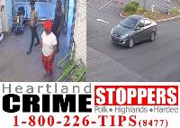 Theft suspects