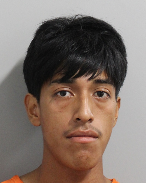 Gerber Alexander Bamaca Perez