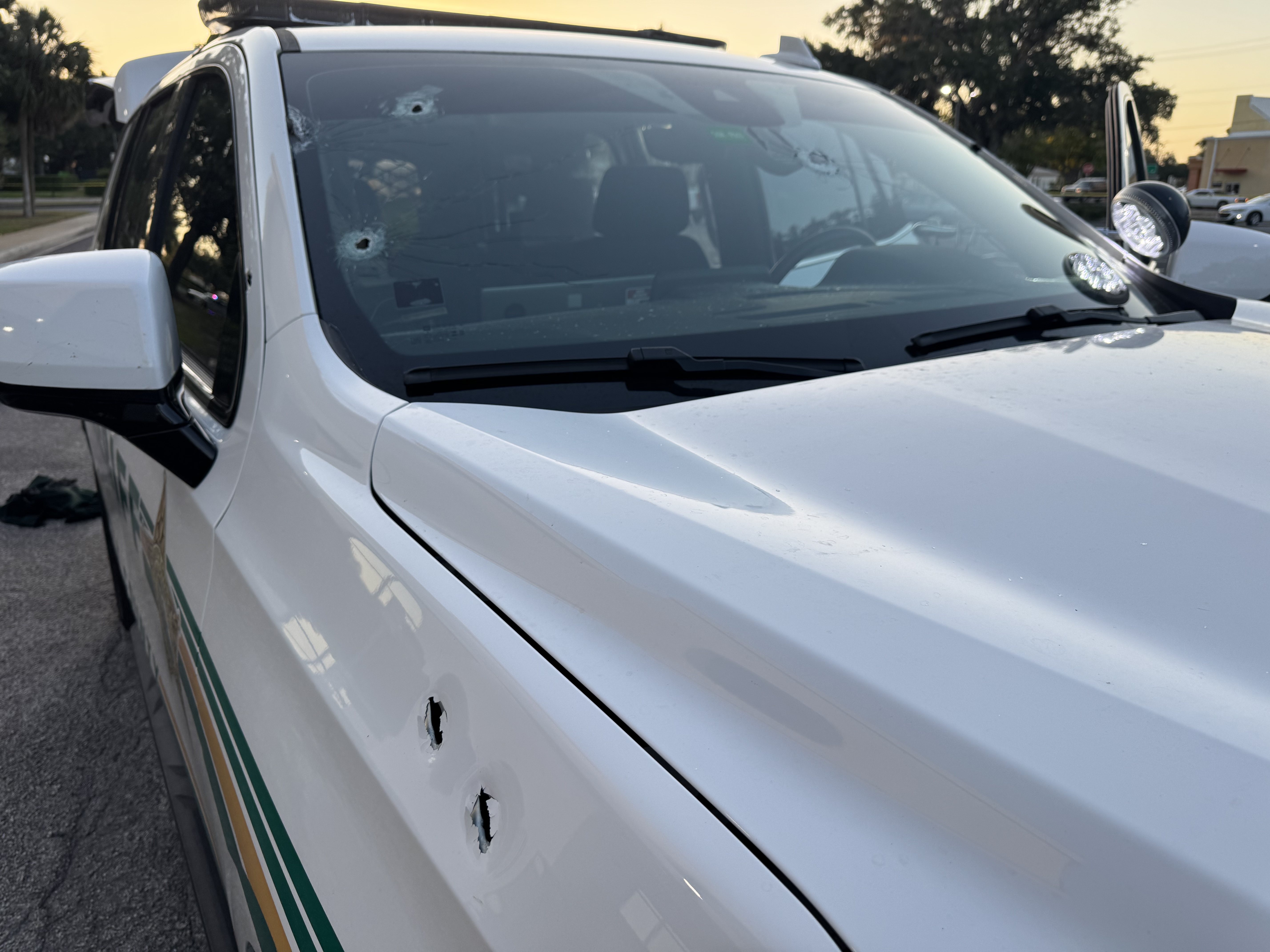 DS Alexander vehicle shot